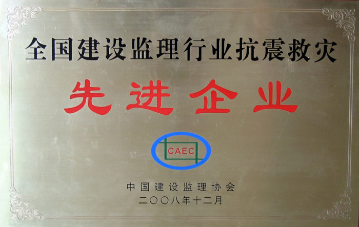 6.抗震救災(zāi)先進(jìn)企業(yè)牌（國(guó)）-.jpg